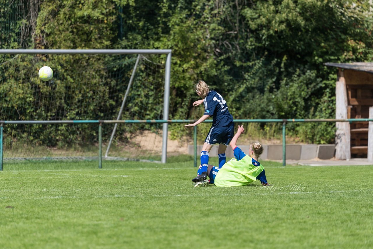 Bild 301 - B-Juniorinnen VfL Pinneberg - HSV : Ergebnis: 1:4